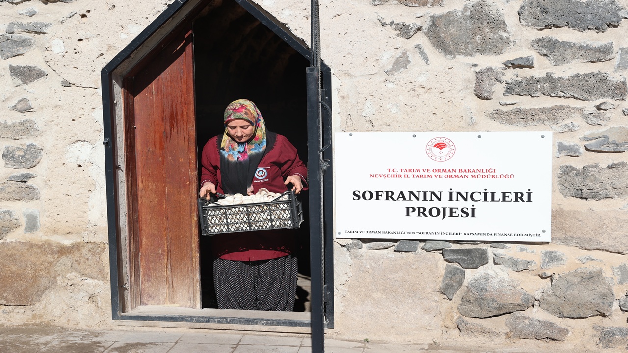 Nevşehirli Kadınlar Asırlık Handa Mantar Üretiyor