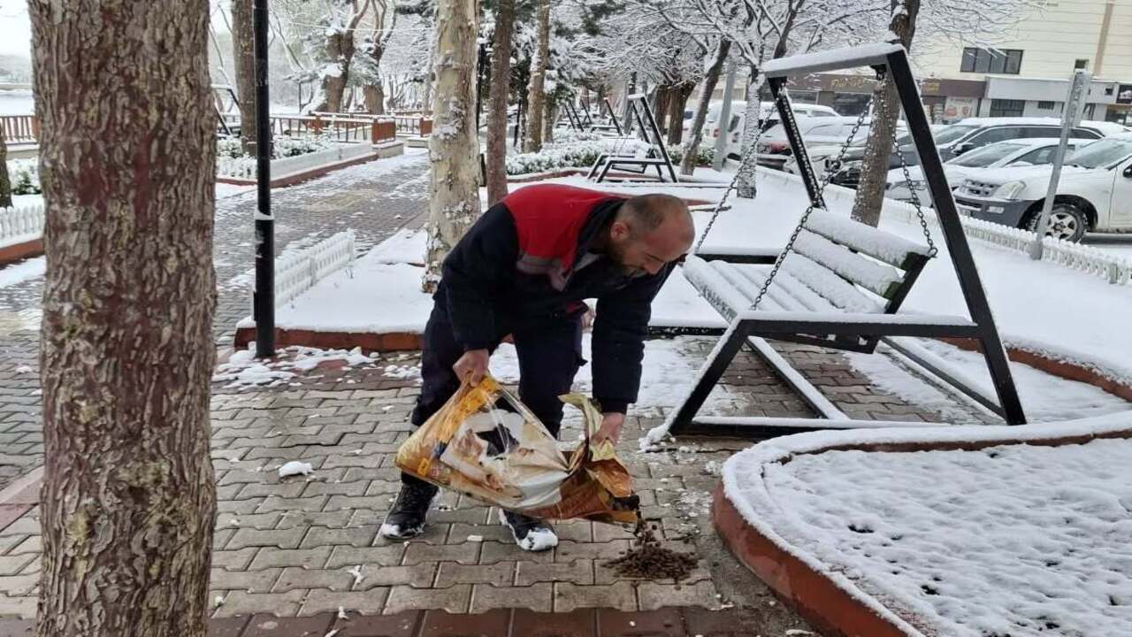 Avanos Belediyesi, Sokak Hayvanlarını Unutmadı