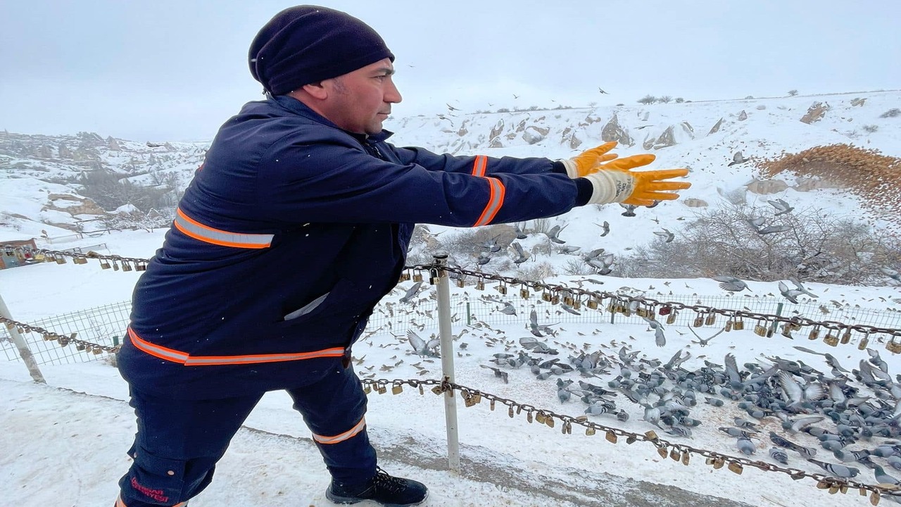 Uçhisar Belediyesi, Güvercinler İçin Besleme Çalışması Başlattı