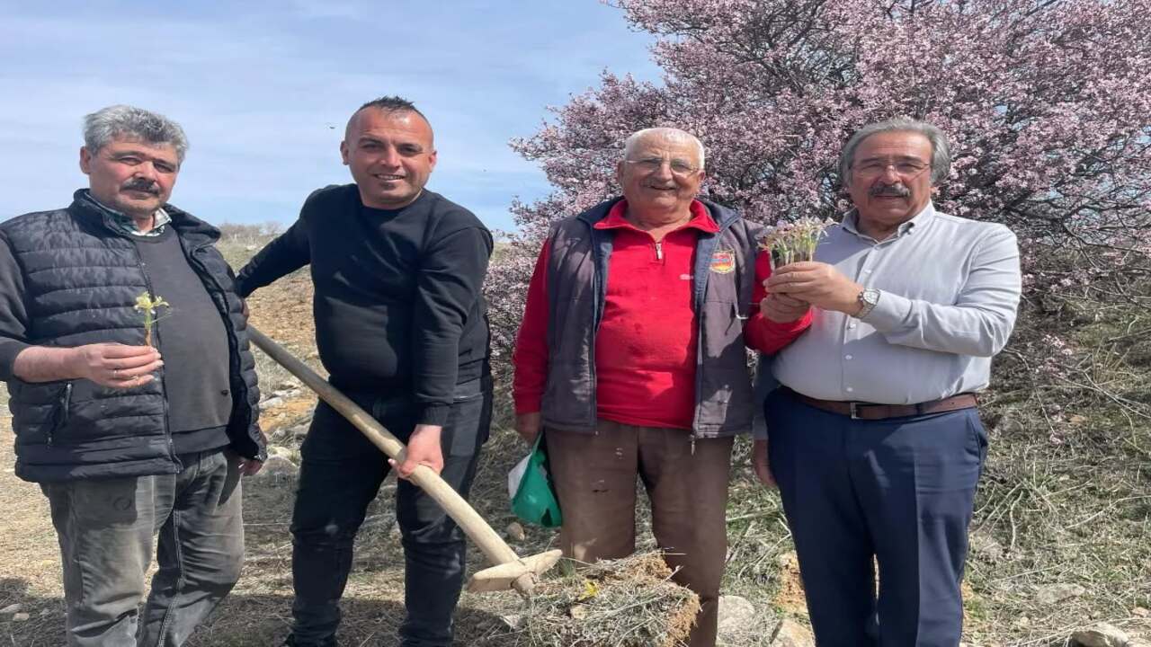 Avanos’ta Nevruz Çiçekleri Baharı Müjdeledi